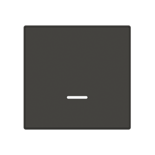 Cover plate Time indication for Time switch Central cover plate Black - Sky Niessen