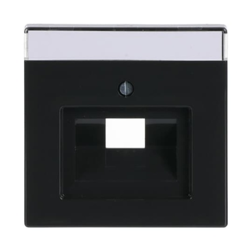 Cover plate with labelling field UAEIAE ISDN 1 gang anthracite - Platform 63