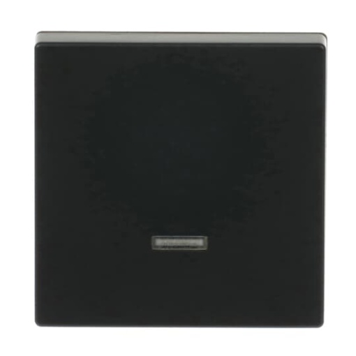 Control Element for Switchdimmer Single push button with Neon lamp black matt - Platform 63