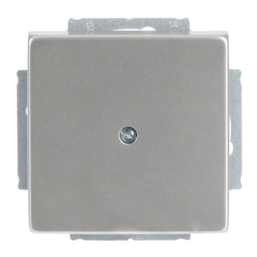 Cover plate Blind cap 1-gang with Mounting plate stainless steel - Pure Stainless Steel