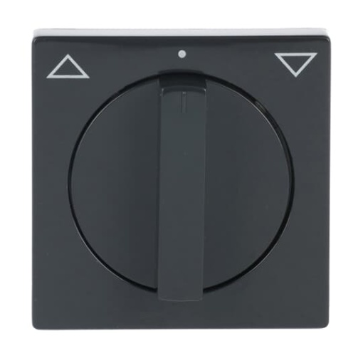 Cover plate with legend Symbol "arrows" for Venetian blind, Turn button anthracite - Platform 63