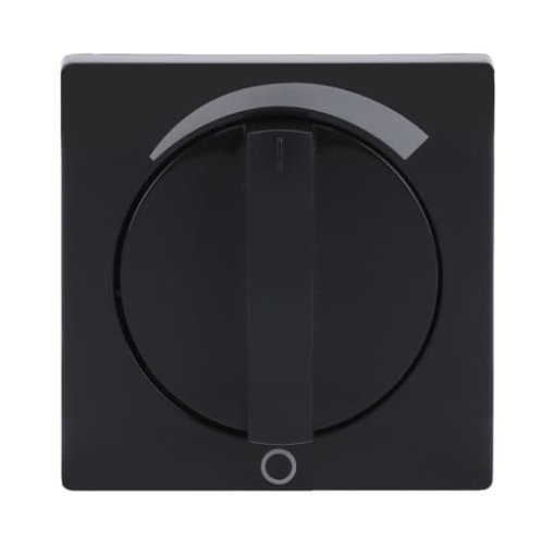 Cover plate with legend Loudspeaker Turn button anthracite - Platform 63