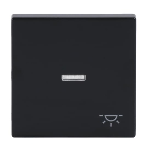 Rocker with legend Symbol "light" with Small Transparent Calotte for Switchpush button, Single rocker anthracite - Platform 63