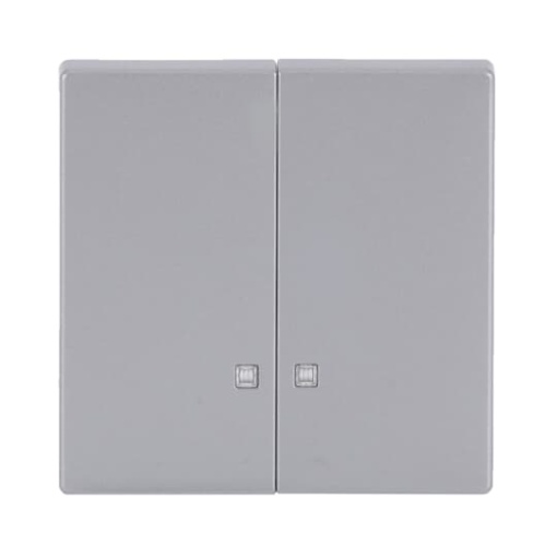 Rocker with Small Transparent Calotte for Switchpush button, Two-part rocker aluminium silver - Platform 63