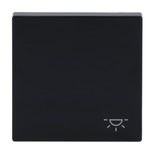 Rocker with legend Symbol "light" for Switchpush button, Single rocker anthracite - Platform 63