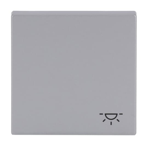 Rocker with legend Symbol "light" for Switchpush button, Single rocker aluminium silver - Platform 63