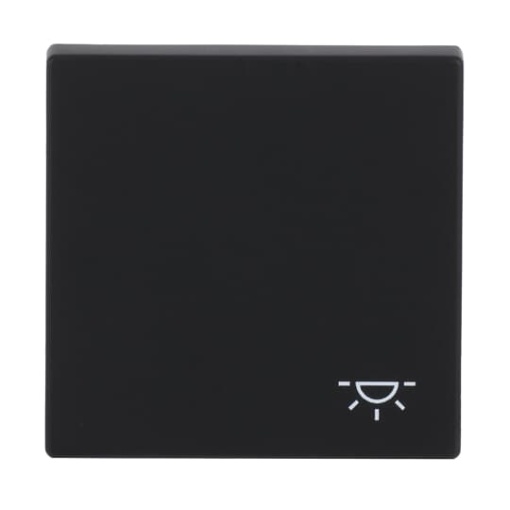 Rocker with legend Symbol "light" for Switchpush button, Single rocker black matt - Platform 63