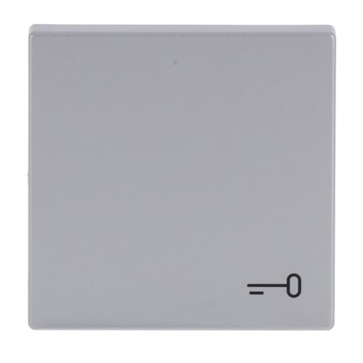 Rocker with legend Symbol "key" for Switchpush button, Single rocker aluminium silver - Platform 63