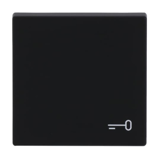 Rocker with legend Symbol "key" for Switchpush button, Single rocker black matt - Platform 63