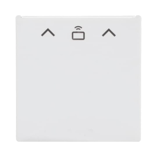 Cover plate with legend Card, Symbol "arrows" for Card switch RFID Hotel card studio white matt - Platform 63