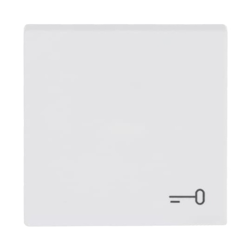Rocker with legend Symbol "key" for Switchpush button, Single rocker studio white matt - Platform 63
