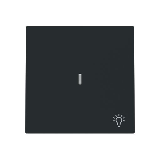 Rocker Symbol "light" for Switchpush button, One-part rocker Black - Alba