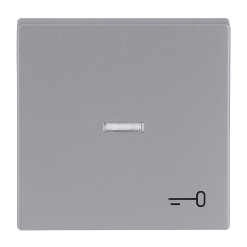Rocker with legend Symbol "key" with Small Transparent Calotte for Switchpush button, Single rocker aluminium silver - Platform 63