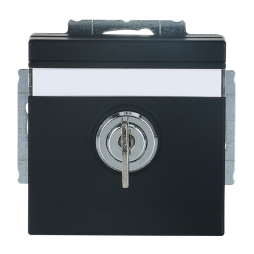 SCHUKO Socket insert with labelling field Safety Shutter with Hinged Lid and Cylinder with Different Locking with label space black matt - Platform 63