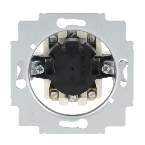 Blind switch insert Key 2-pole switch and push switch 10 A