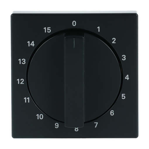 Cover plate with legend 1 ... 15 Min for Time switch, Turn button anthracite - Platform 63