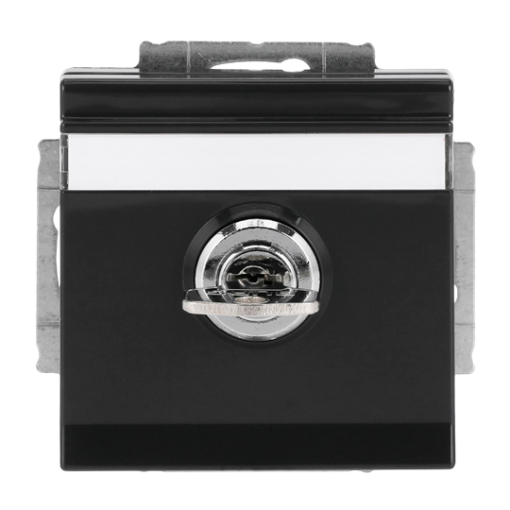 SCHUKO Socket insert with labelling field Safety Shutter with Hinged Lid and Cylinder with Different Locking with label space anthracite - Platform 63