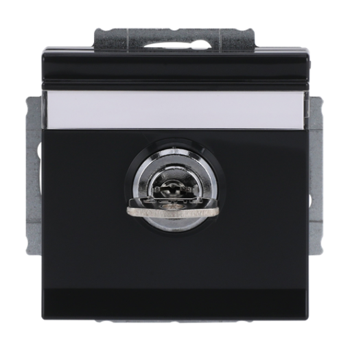 SCHUKO Socket insert with labelling field Safety Shutter with Hinged Lid and Cylinder with Simultaneous Locking with label space anthracite - Platform 63