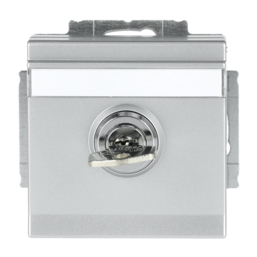 SCHUKO Socket insert with labelling field Safety Shutter with Hinged Lid and Cylinder with Simultaneous Locking with label space aluminium silver - Platform 63