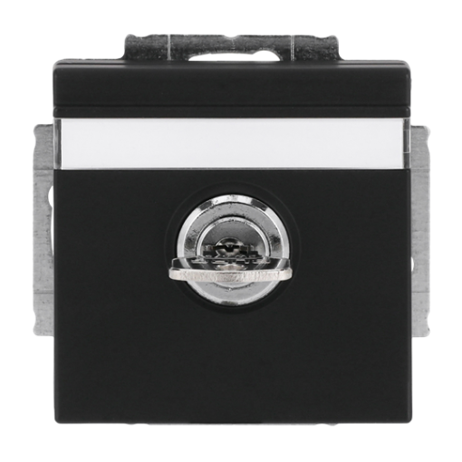 SCHUKO Socket insert with labelling field Safety Shutter with Hinged Lid and Cylinder with Simultaneous Locking with label space black matt - Platform 63