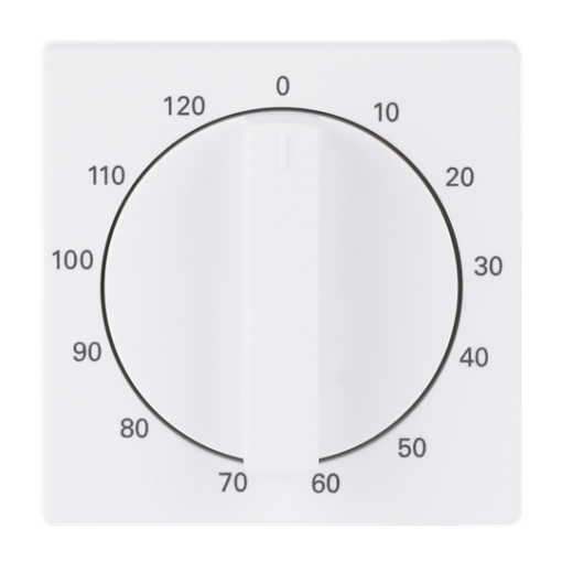 Cover plate with legend 10 ... 120 Min for Time switch, Turn button with handle studio white matt - Platform 63