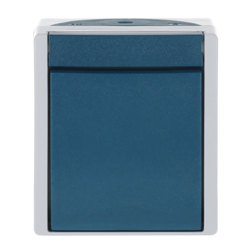 Switch Rockerbutton, 2-pole switch grey  blue-green - ocean