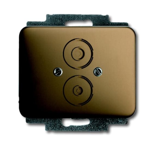 1748-21 CoverPlates partly incl. Insert carat bronze