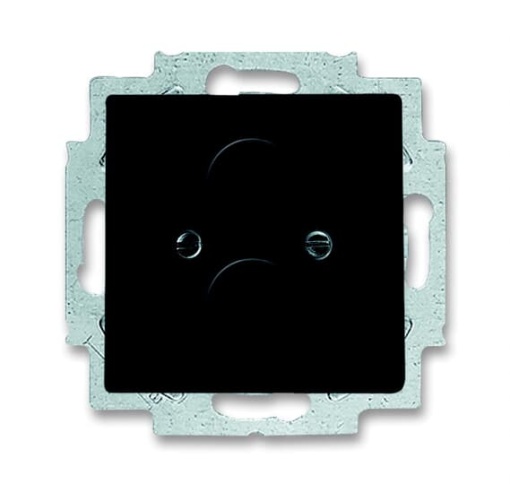 1748-885 CoverPlates partly incl. Insert carat black matt