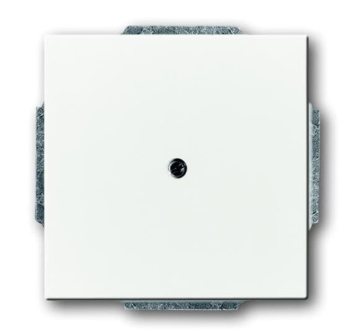 Cable Outlet  Blank Plate  Adapter Ring Cable outlet 1-gang studio white - Platform 63