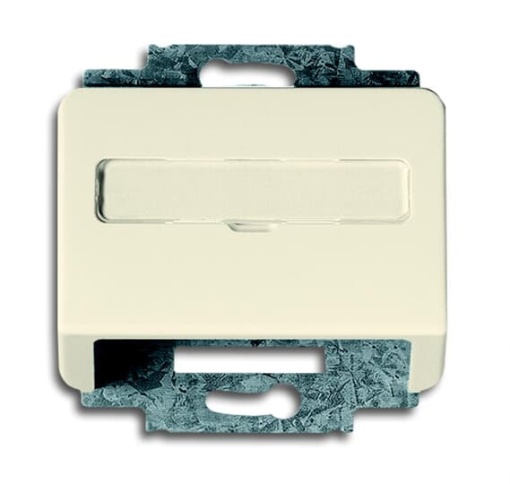 1758-22G Cover plate with metal mounting plate