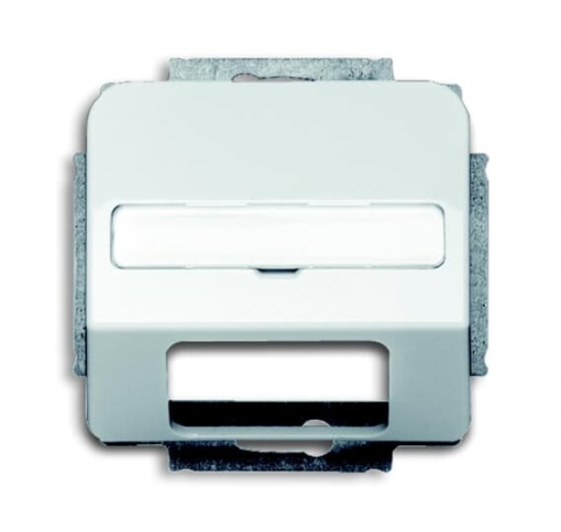 1769-214 CoverPlates partly incl. Insert carat Alpine white