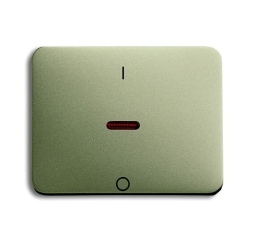 1788-260 Switch rocker with marking with small red spherical cap