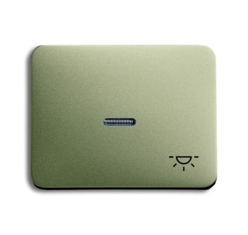 1789 LI-260 Switch rocker with marking with small transparent lens