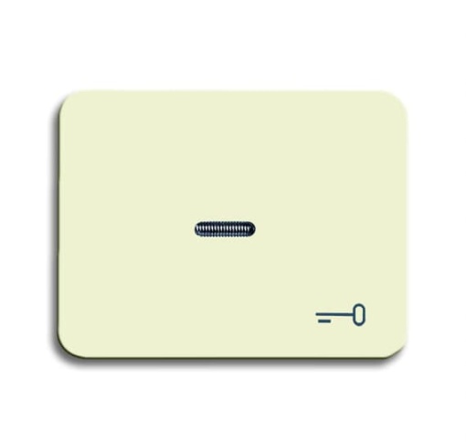 1789 TR-22G Switch rocker with marking with small transparent lens