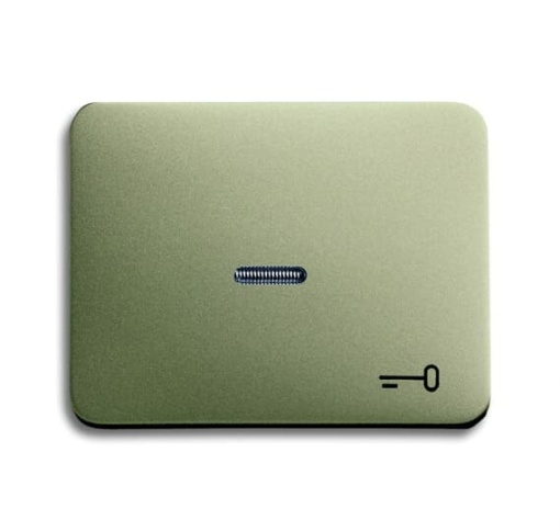 1789 TR-260 Switch rocker with marking with small transparent lens