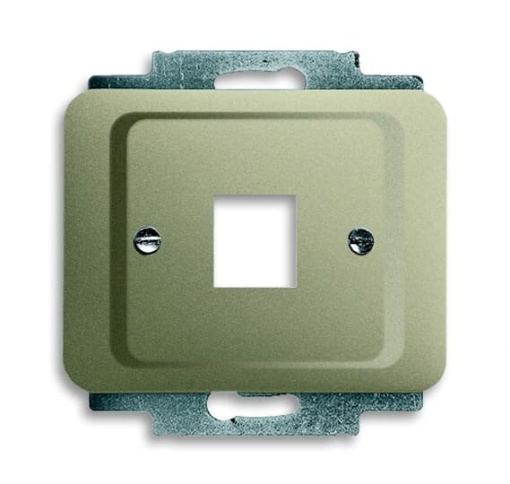 2561-260 Cover plate with metal mounting plate
