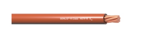 GENLISR Class H07VU Eca 1x4 R100 PT