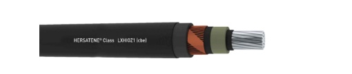 LXHIOZ1CBE 1X12016 183036 KV PT
