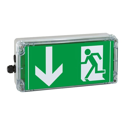 EXIT 12-24V DC ARROW DOWNWARDS PU