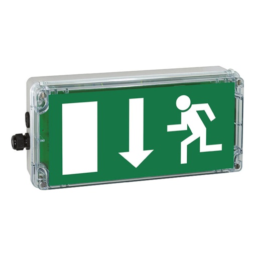 EXIT ARROW DOWNW. METAL GLAND EN 1838