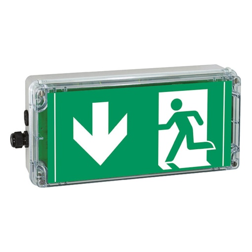 EXIT ARROW 6 clock PL acc.. ISO 7010