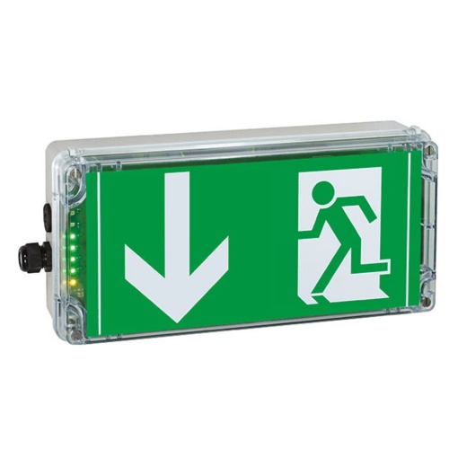 EXIT N ARROW DOWNWARDS PU