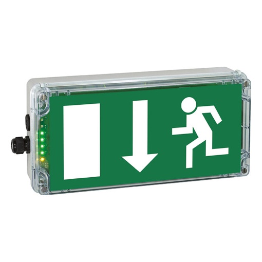 EXIT N ARROW DOWNWARDS PU EN 1838