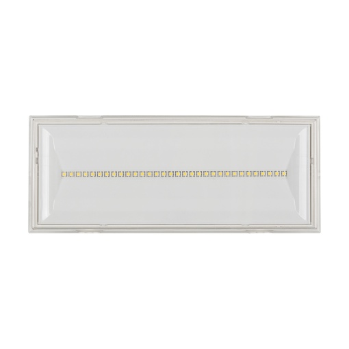 NEXITECH LED 10001h 8001h30 CGL IP65