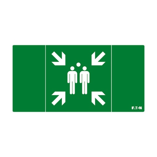 FT2 PICTOGRAM, ISO7010-E007 MP