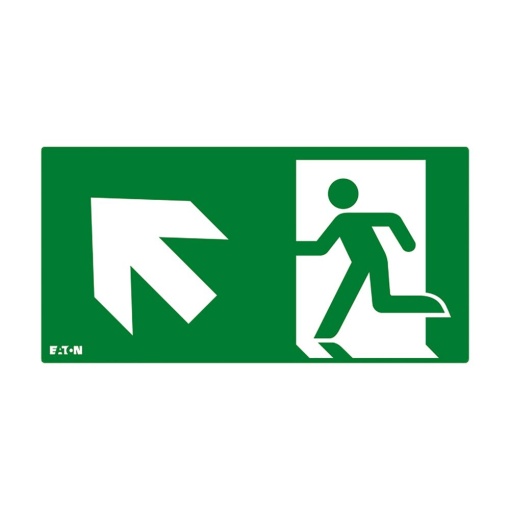 FT2 PICTOGRAM, ISO7010-E001 UL 20M