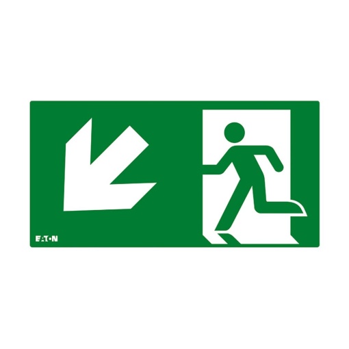 FT2 PICTOGRAM, ISO7010-E001 DL