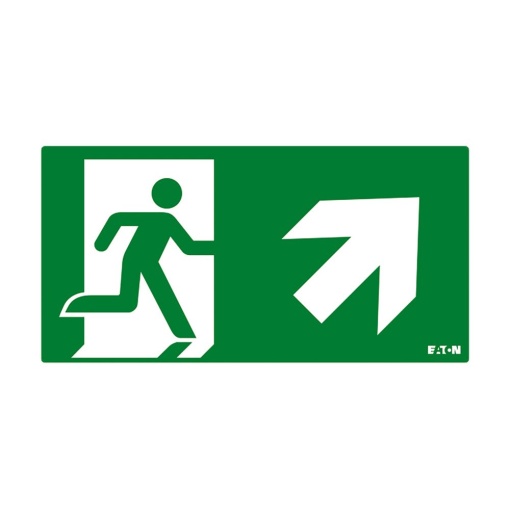 FT2 PICTOGRAM, ISO7010-E002 UR 20M