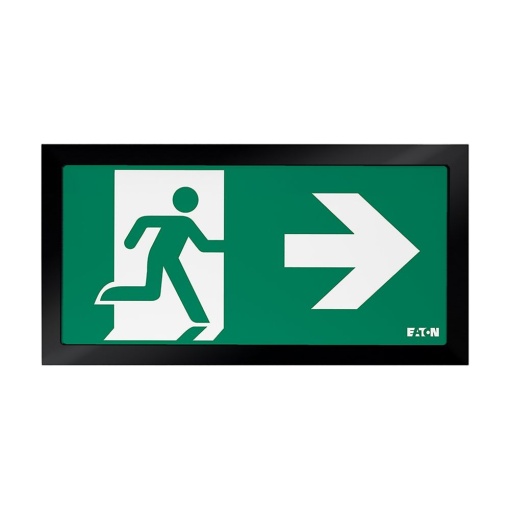 FT2 ED Recess. Ceiling,metal cover,Black
