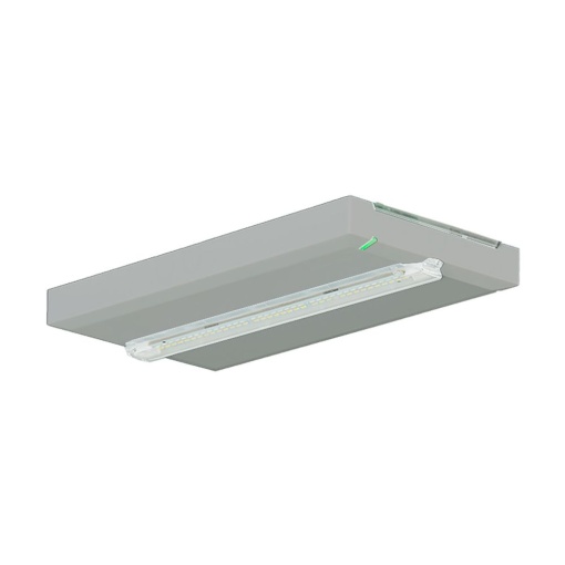FT2 SE, metal cover, Silver